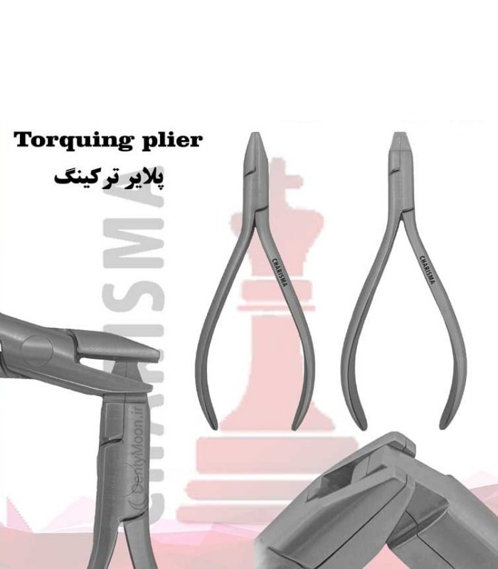 پلایر ترکینگ کاریزما (2عددی) Charisma