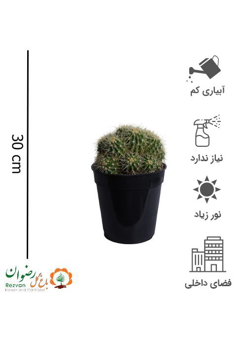 اچینو چند کله سطل 7
