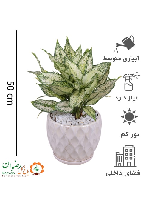 اگلونما برفی با گلدان سرامیکی AS29
