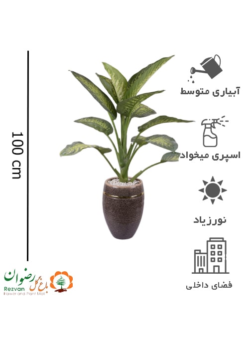 دیفن باخیا با گلدان سرامیک گرانیتی دور طلایی کد DD18