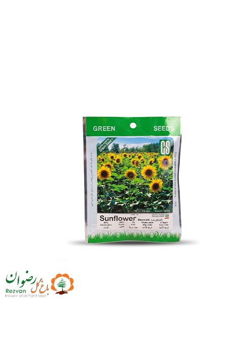 بذر آفتابگردان