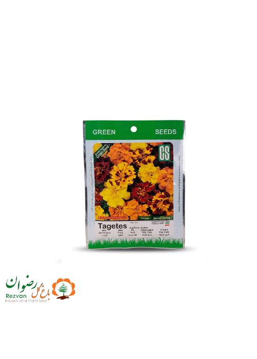 بذر جعفری مینیاتوری