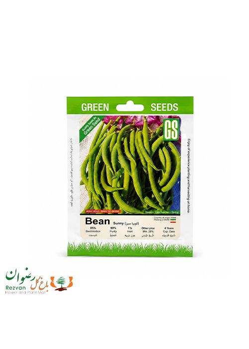 بذر لوبیا سبز