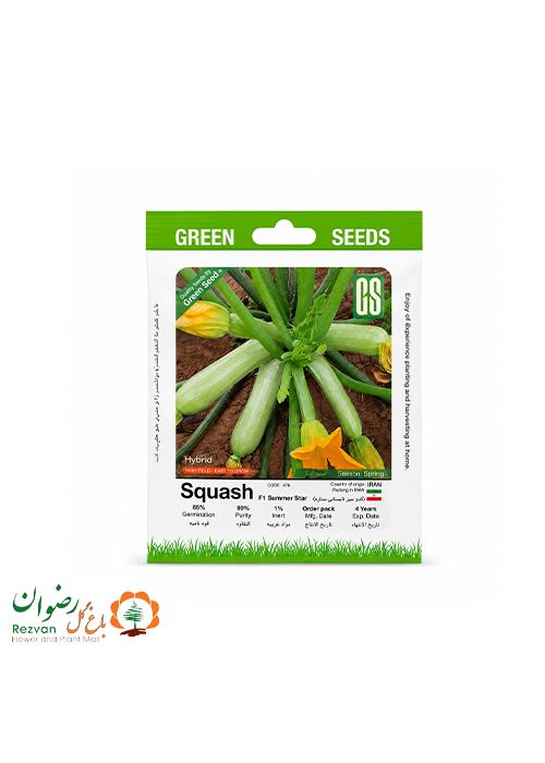 بذر کدو خورشتی هیبرید