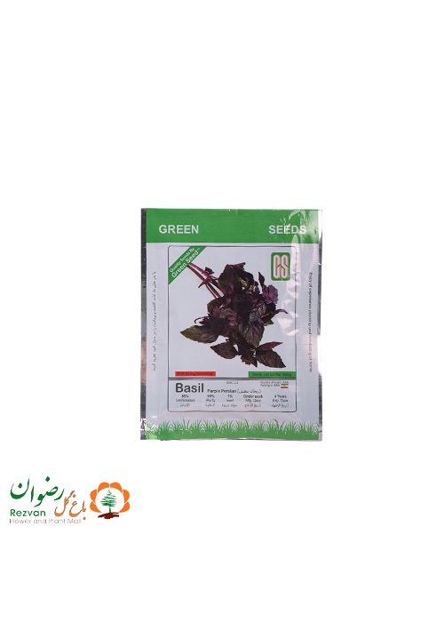 بذر ریحان بنفش