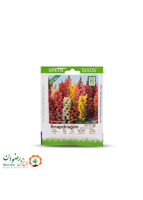 بذر میمون پا بلند الوان