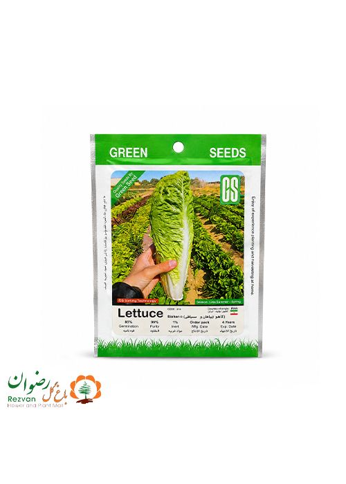 بذر کاهو سالادی سیاهو