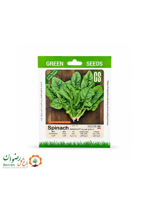 بیبی اسفناج هیبرید