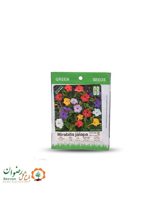 بذر لاله عباسی الوان