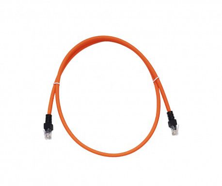 پچ کورد 2 متری CAT6 نگزنس