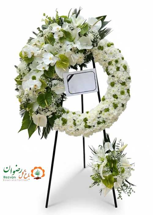 درباری 1 طبقه پارسا