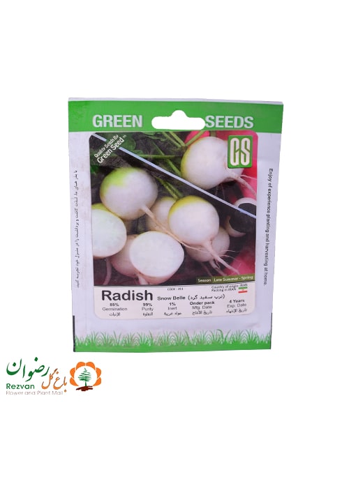 بذر ترب سفید گرد