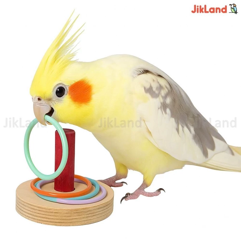 اسباب بازی عروس هلندی، طوطی، فنج، مرغ عشق، کوتوله و... مدل حلقه بازی