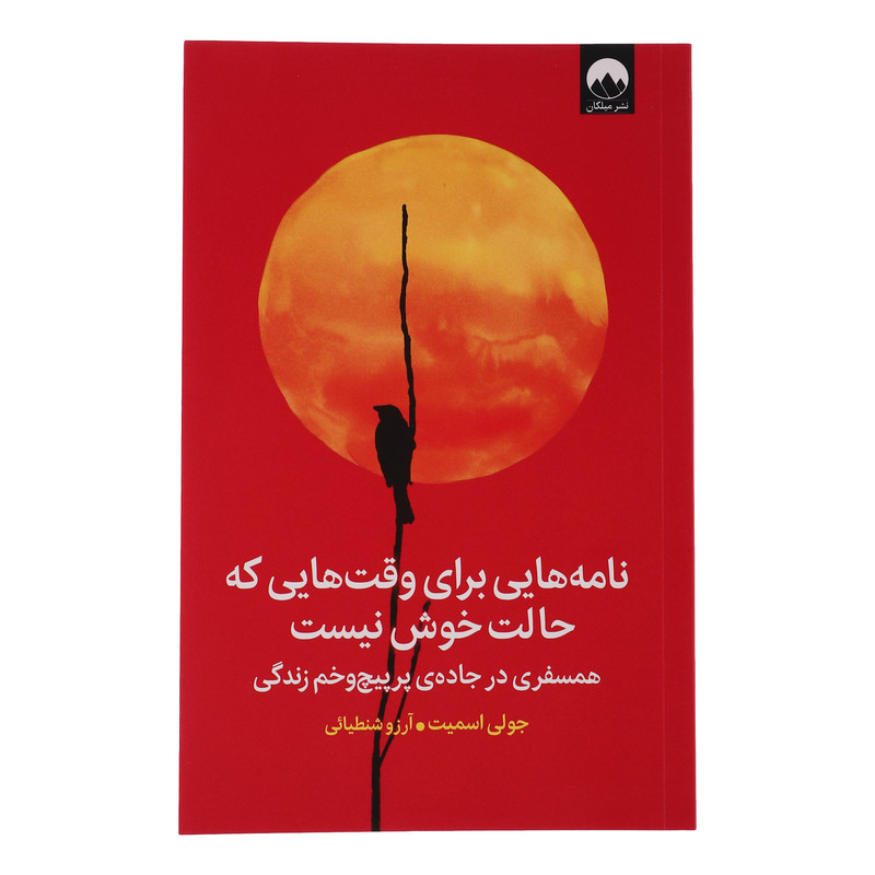 کتاب نامه هایی برای وقت هایی که حالت خوش نیست اثر جولی اسمیت ترجمه ارزو شنطیایی نشر میلکان