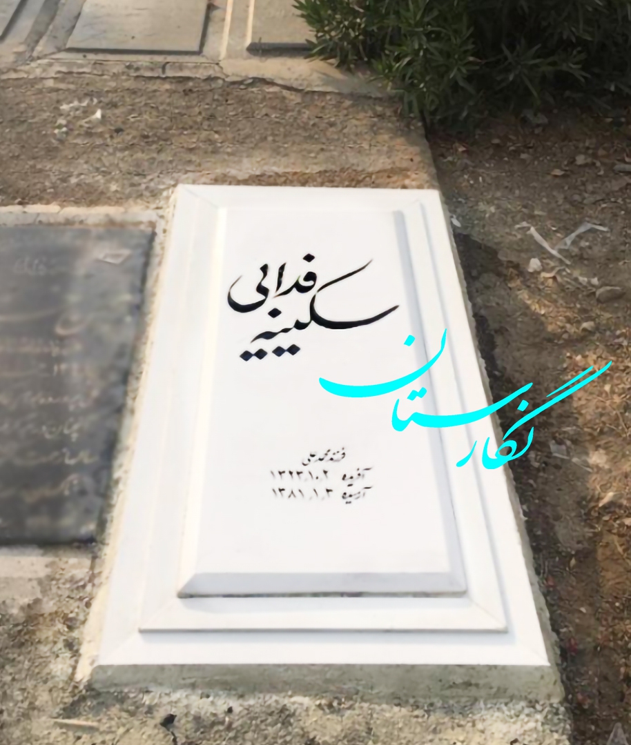 سنگ مزار نانو پلاس 50×120 کد 14