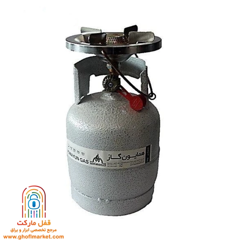 پیک نیک 1 کیلویی سفید همایون گاز