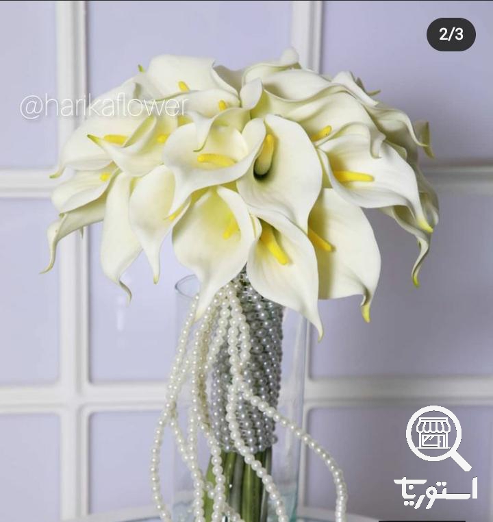 تصویر 6 فروشگاه هاریکا