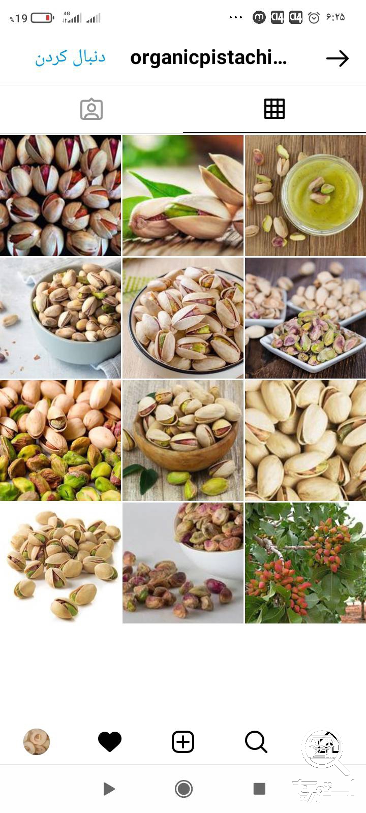 فروت کام