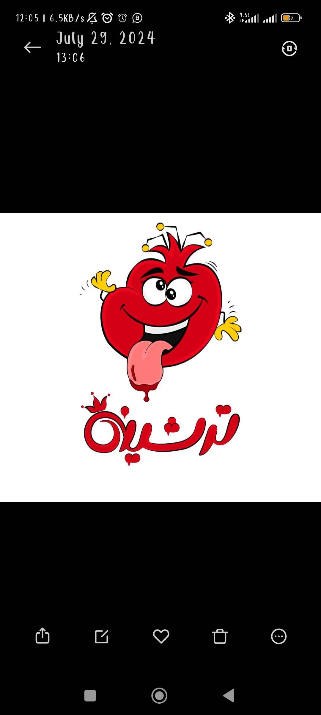 torshine_pakhsh