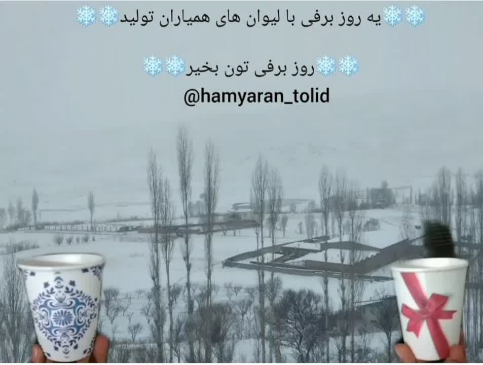 همیاران تولید فیروزکوه