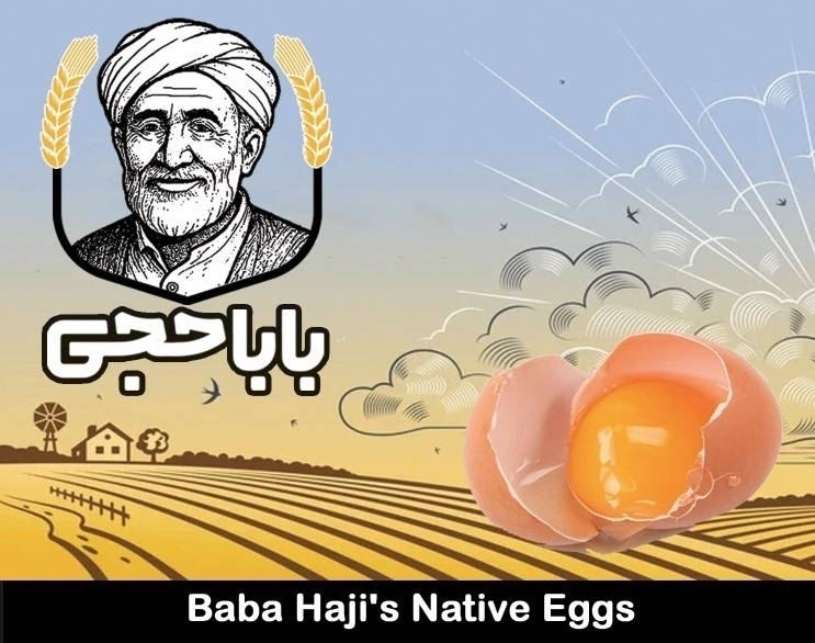 تصویر 1 فروشگاه باباحجی