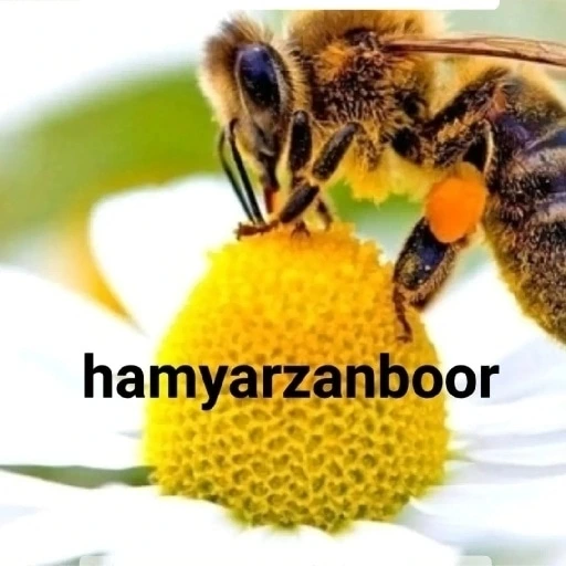 فروشگاه همیار زنبور