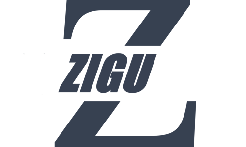 زیگو اکسپرس