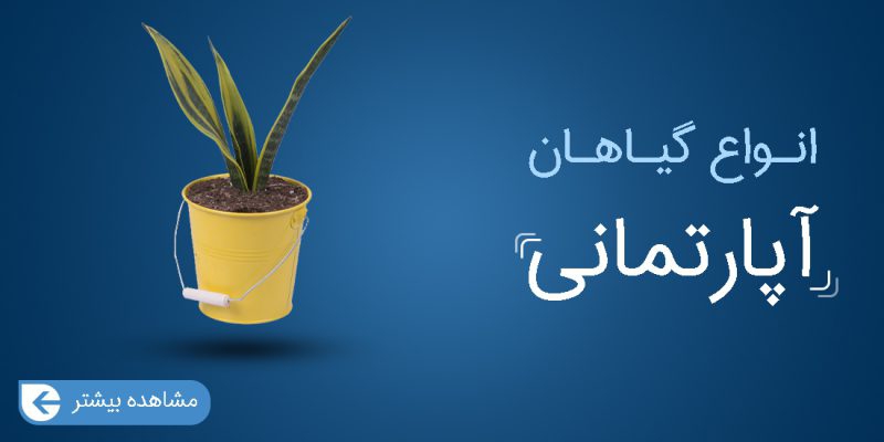 تصویر 1 فروشگاه باغ گل رضوان
