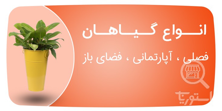 تصویر 4 فروشگاه باغ گل رضوان