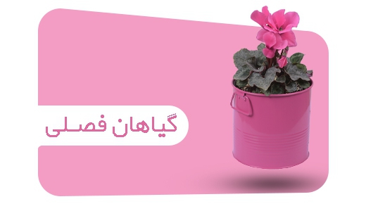 تصویر 6 فروشگاه باغ گل رضوان
