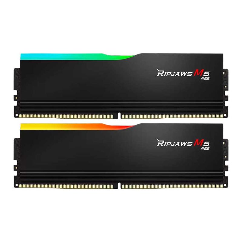 رم دسکتاپ DDR5 دو