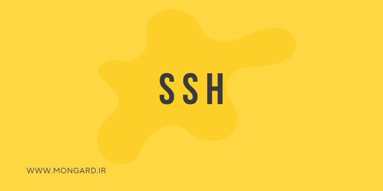 آشنایی با پروتکل SSH در شبکه