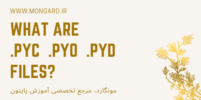 تفاوت بین فایل های pyc, pyd و pyo در پایتون چیست؟