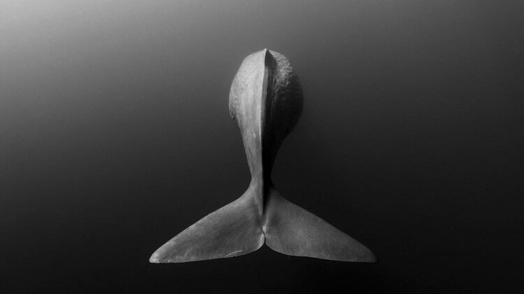 دوره آموزش داکر