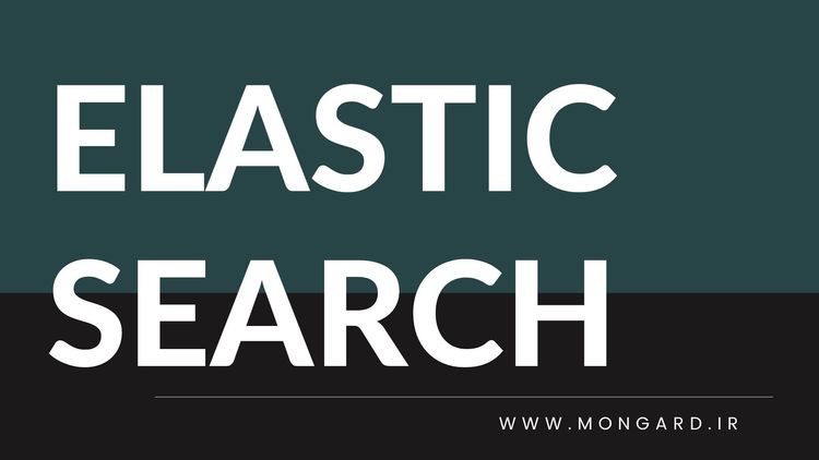 دوره آموزش الستیک سرچ