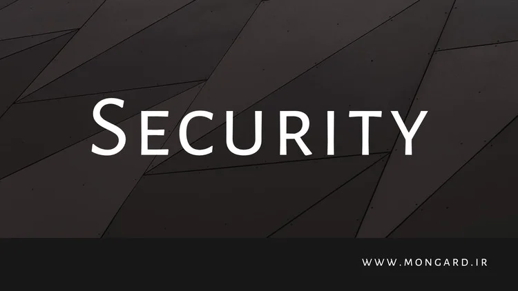 دوره آموزش امنیت در وب