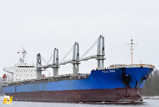 Mooring deck accident on board the cargo vessel Teal Bay