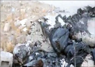 فاجعه در تهران؛ سوزاندن سگ‌ها در کیسه زباله!