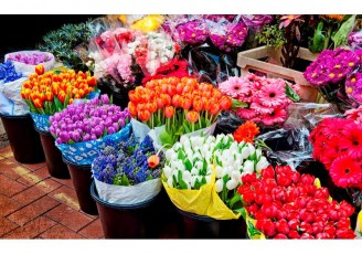 صادرات ۲۰۰ هزار گلدان گل از نوشهر
