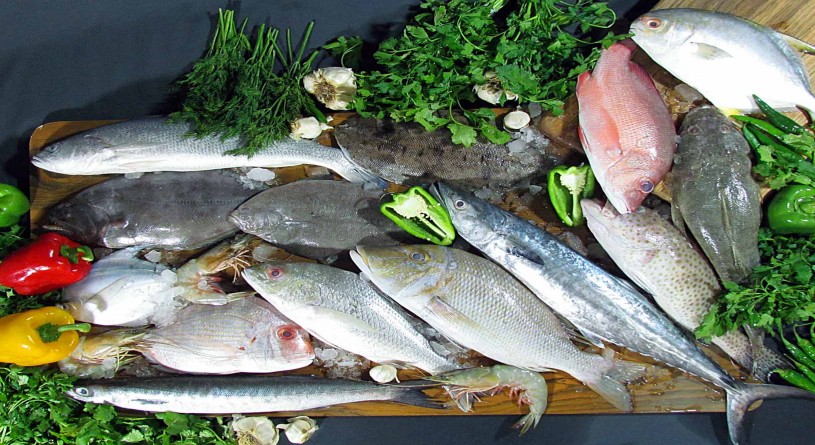 رشد روز افزون صادرات ماهی از آذربایجان غربی