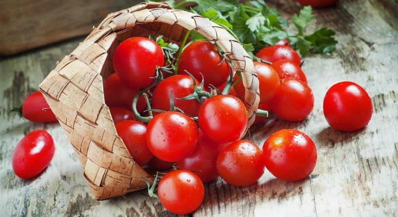 روند نزولی صادرات گوجه فرنگی طی ماه‌های اخیر