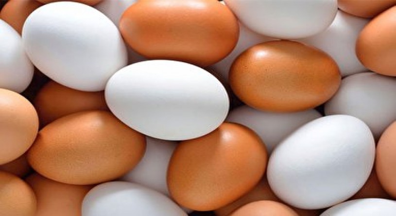 قیمت جدید تخم ‌مرغ در مرغداری‌ و بازار