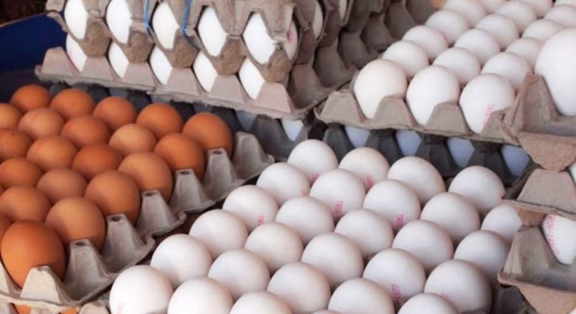 راهکار دولت برای کنترل بازار تخم مرغ