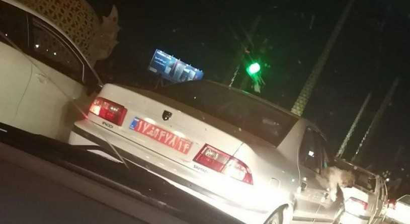 برکناری یک مدیر دولتی به دلیل سگ‌گردانی با خودروی دولتی