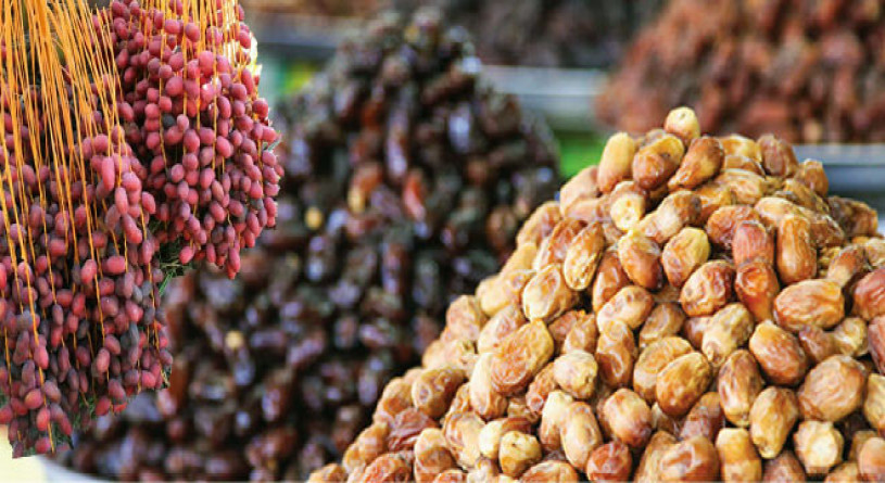 تدوین برنامه‌های ویژه جهت حمایت از صادرات خرما