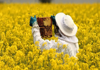 عدم رعایت اصول بهداشتی در تولید و صادرات عسل ایرانی