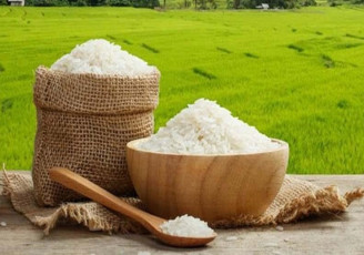 کاهش قیمت برنج با آغاز این طرح
