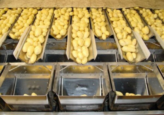 اعلام تعرفه صادرات سیب‌زمینی