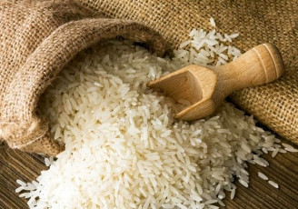 صادرات برنج فعلا ممنوع است