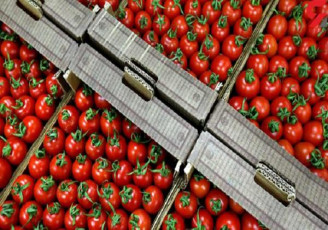 غارت محموله گوجه فرنگی ایران در پاکستان